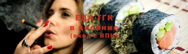 индика Алзамай