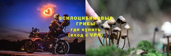 ECSTASY Новокубанск