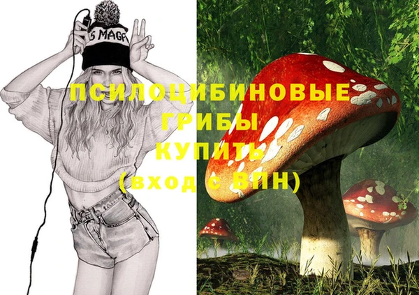 индика Алзамай