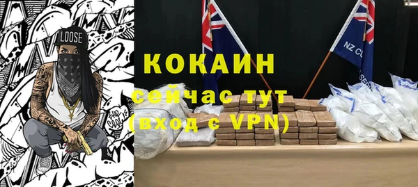 дмт Алексин