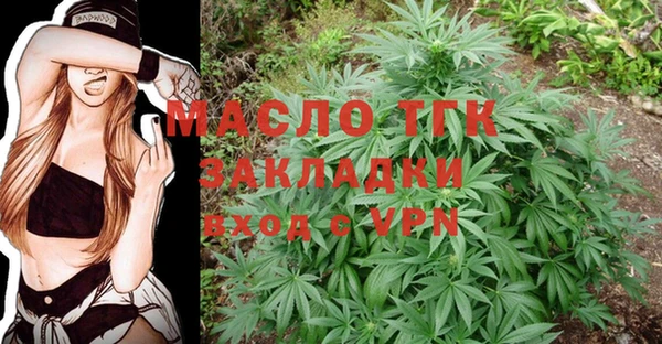 дмт Алексин