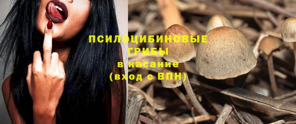 индика Алзамай