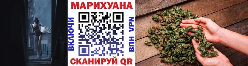 Канабис сатива  Абакан 